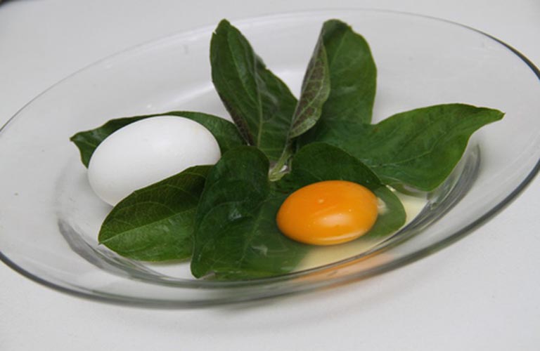 Trứng hấp lá mơ lông rất an toàn cho người bệnh trào ngược dạ dày